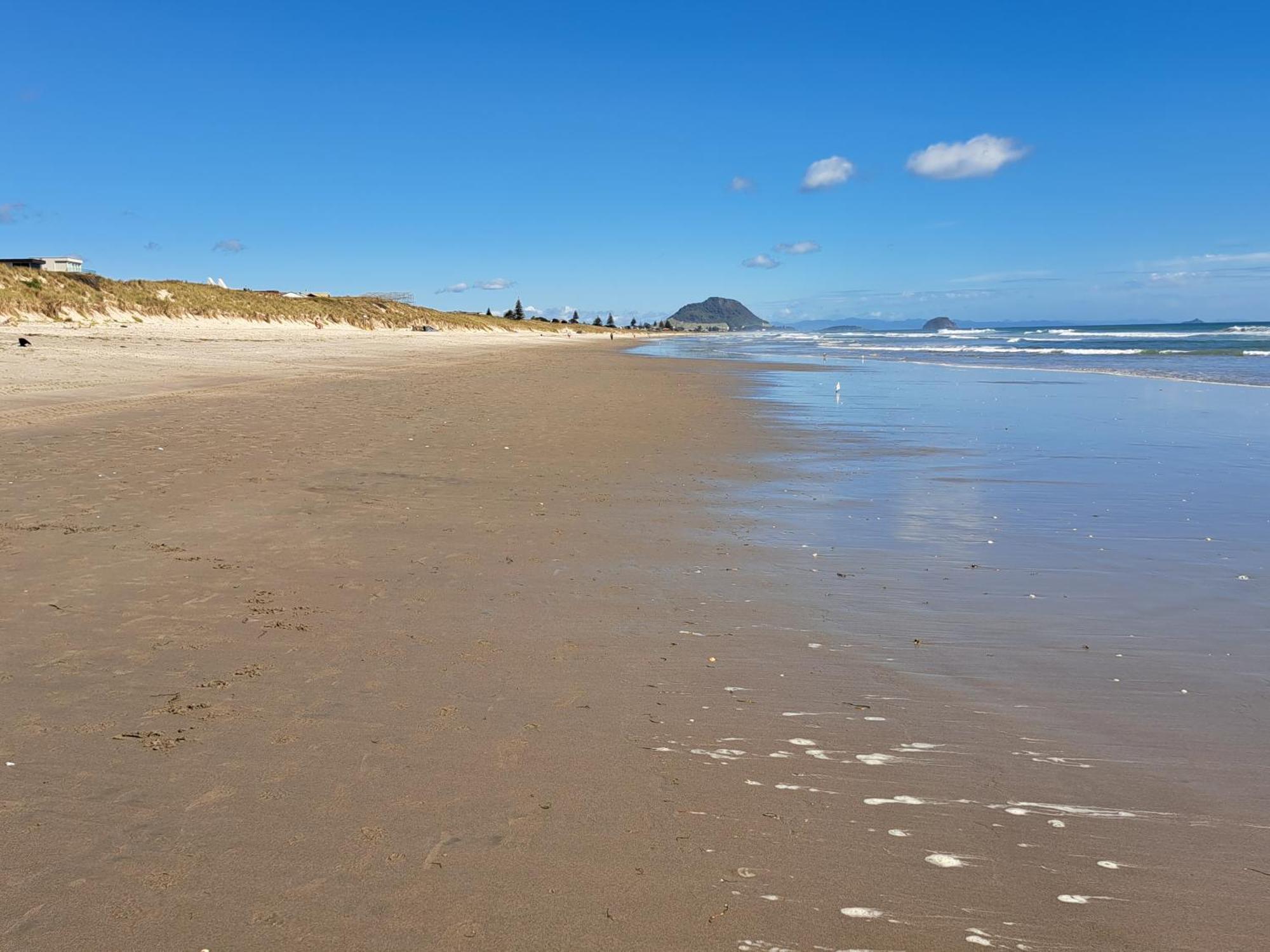 Sunbrae Beach Mount Maunganui Eksteriør billede